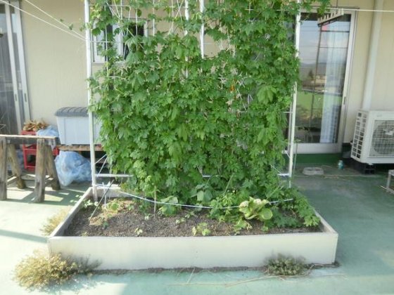 角形 大型 プランター アルミ製 花壇枠（底板なし） 家庭菜園 屋上緑化 